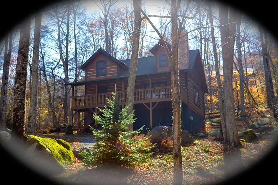 206 Foxgrape Hollow Beech Mountain Club Rental In Beech