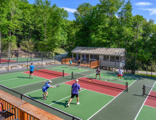 Pickleball Tips: Picking Your Paddle