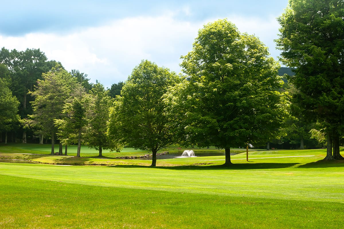 Golf-Page-8 golf in beech mountain